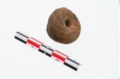 Foto von Spinnwirtel (NHMW-PRAE-024827)